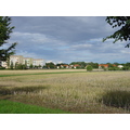 Gatersleben